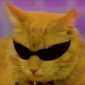 Meet your Posher, Bruce